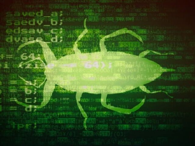 bug-min (1)